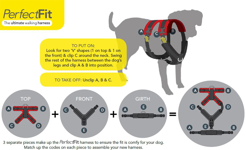 perfect fit harness amazon